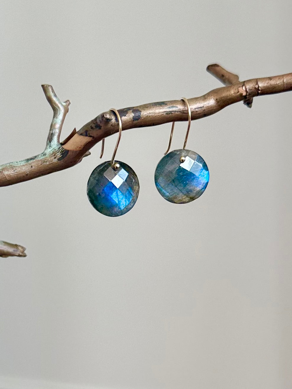 Luxe Minimalist Labradorite Coin Earrings