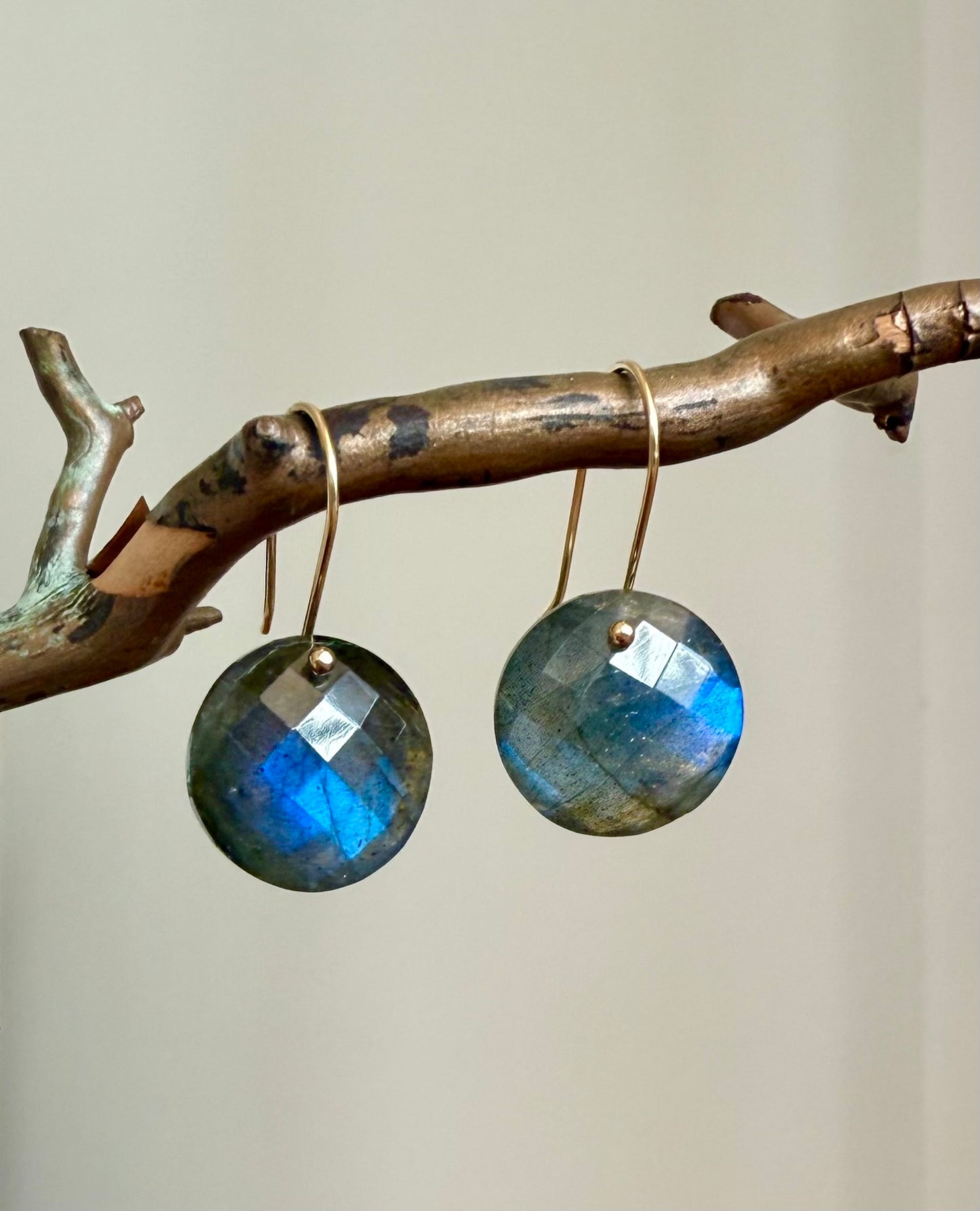 Luxe Minimalist Labradorite Coin Earrings