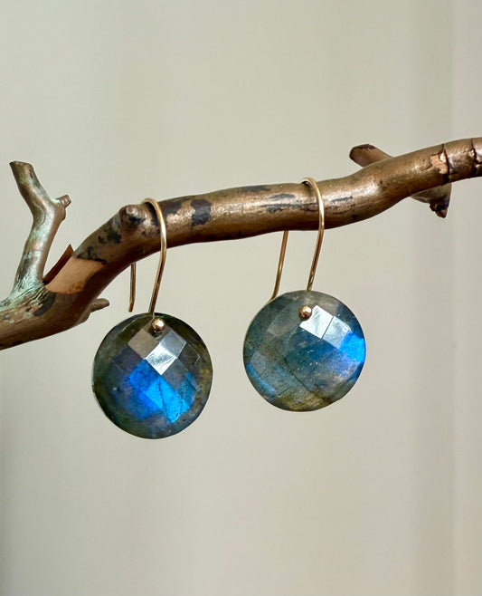 Luxe Minimalist Labradorite Coin Earrings